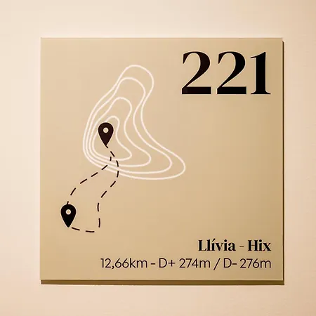 فندق Hotel Llivia ييفيا