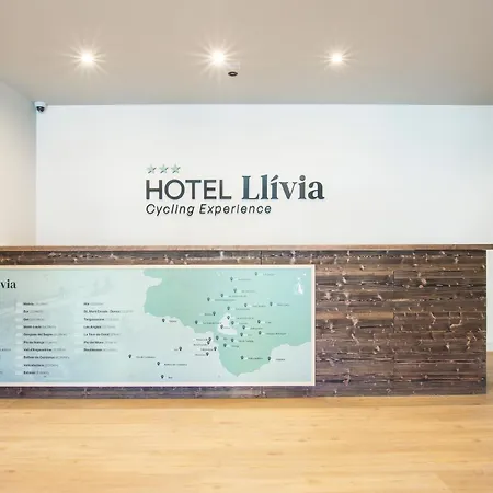 Hotel Hotel Llivia 3*