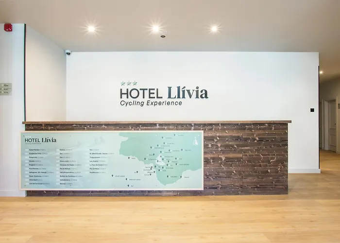 Hotel Hotel Llivia 3*